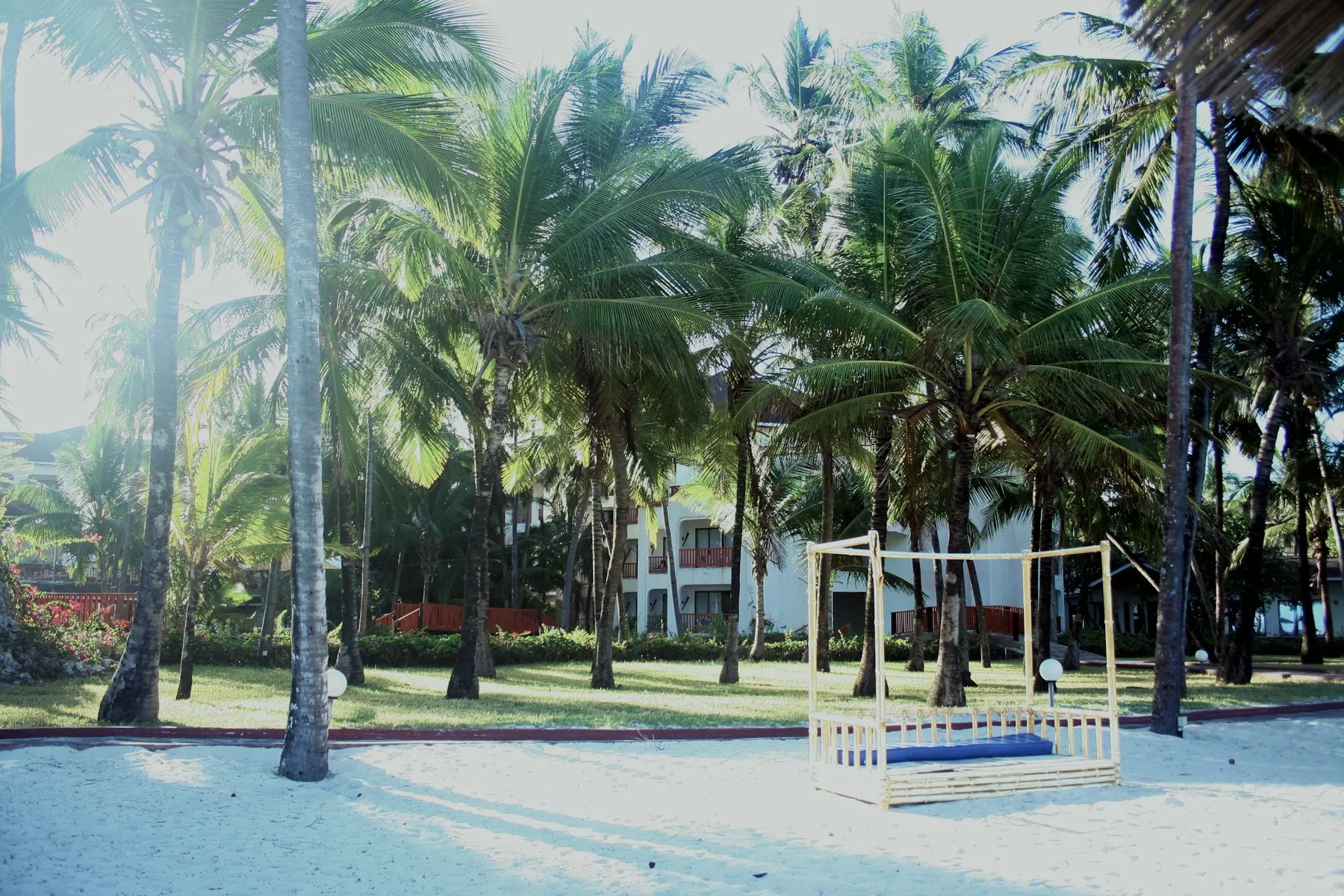 Palm trees over white sand at a beach resort