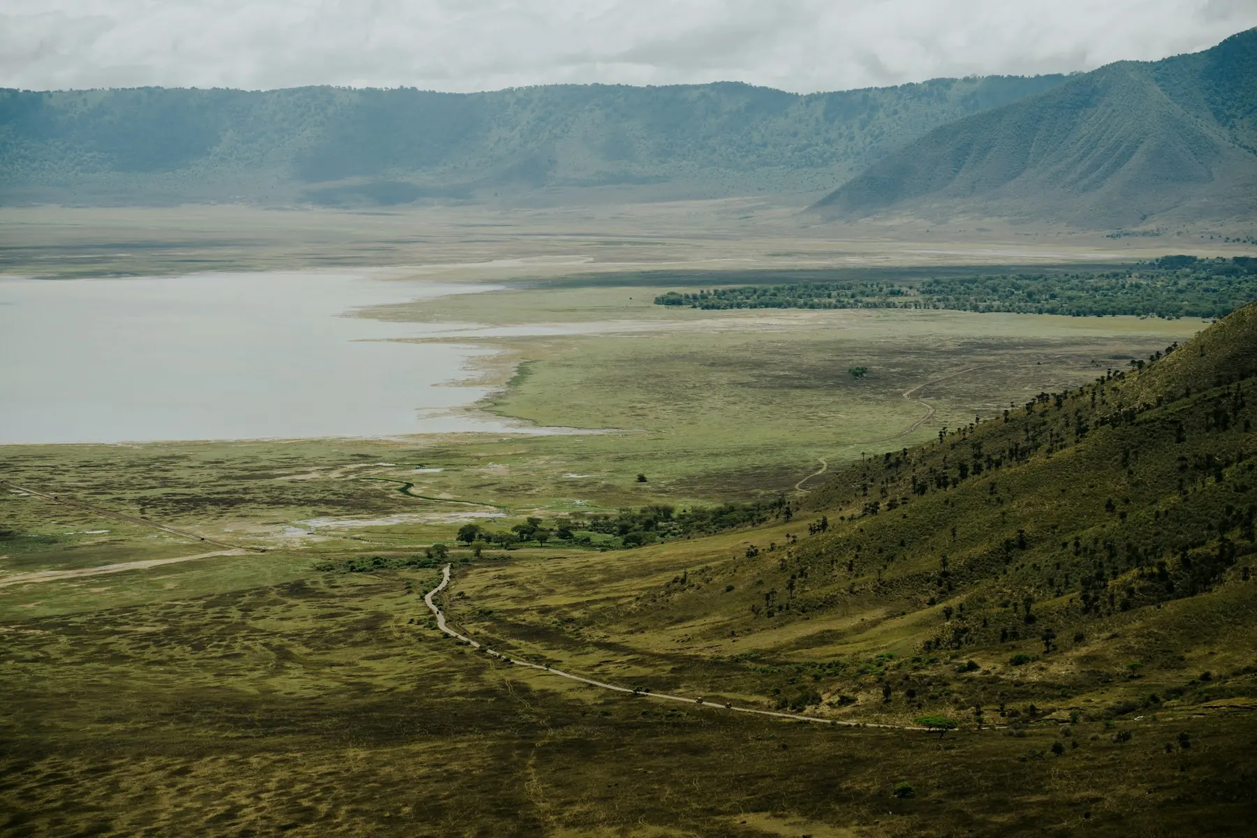 View down into a wide green crater with a lake on the floor